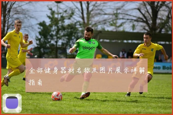 全部健身器材名称及图片展示详解指南