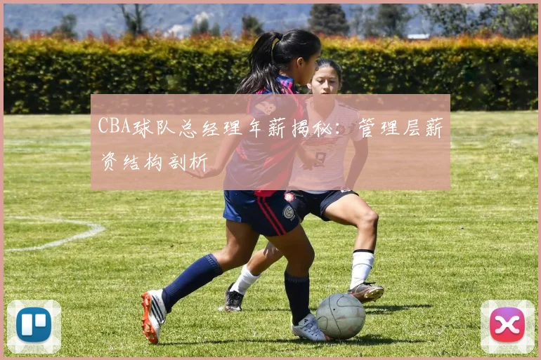 CBA球队总经理年薪揭秘：管理层薪资结构剖析