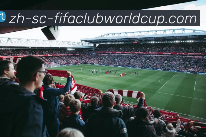 世界杯赛程服务体系