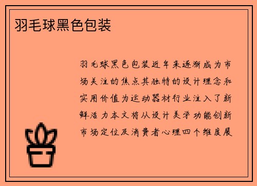 羽毛球黑色包装
