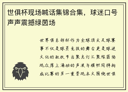 世俱杯现场喊话集锦合集，球迷口号声声震撼绿茵场